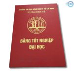 Bìa Bằng Đại Học, Cao Đẳng
