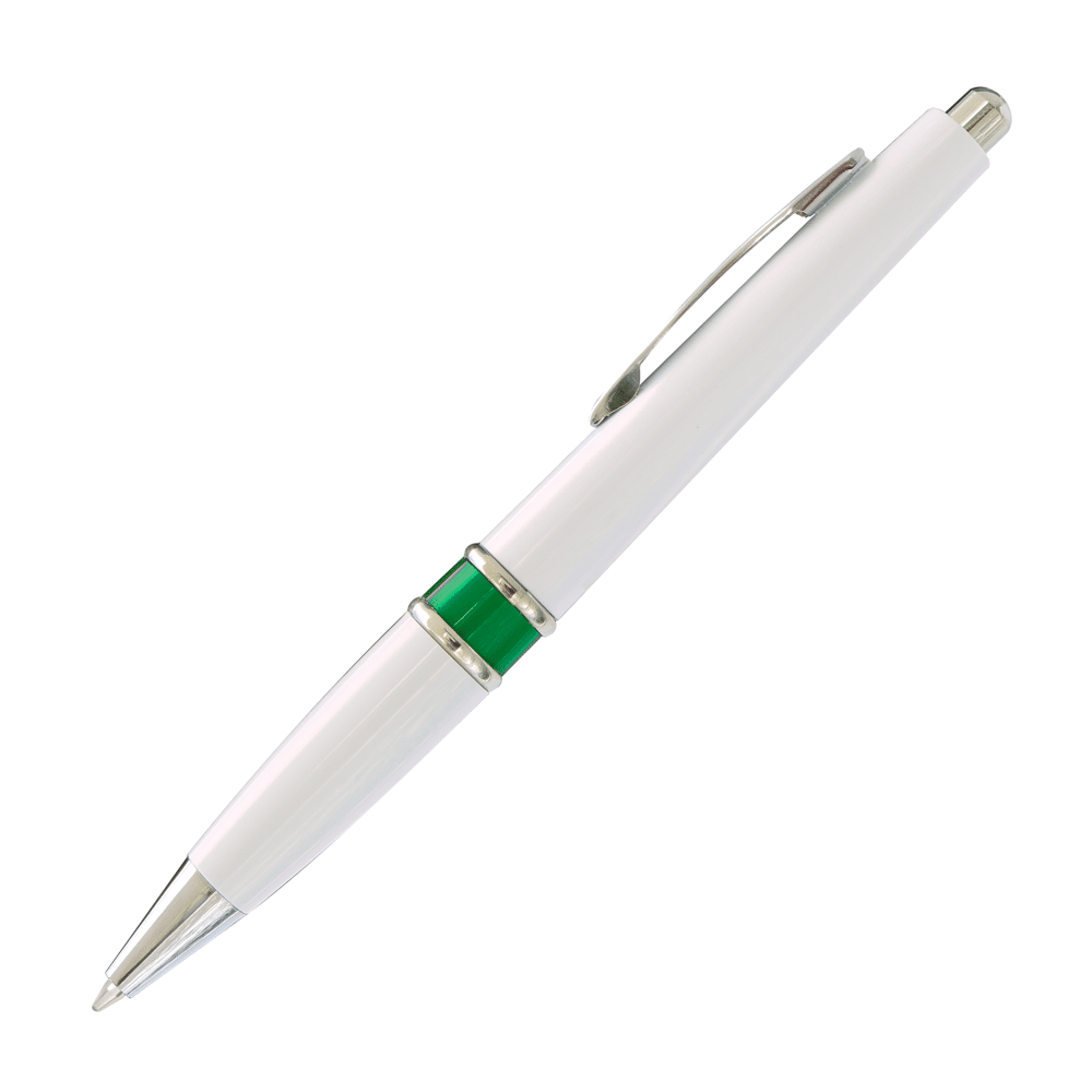 Bút bi nhựa DN-1324