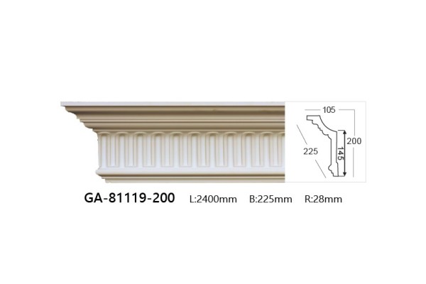 GA-81119-200