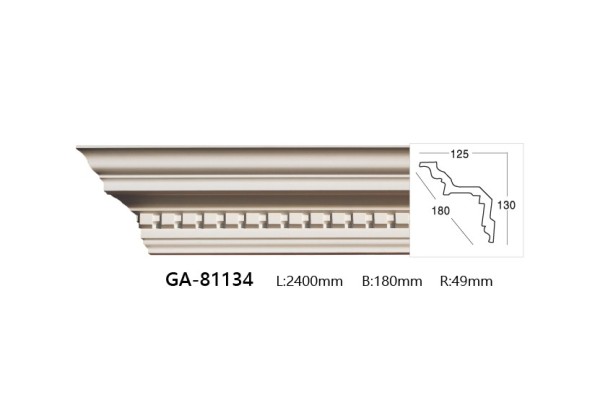 GA-81134