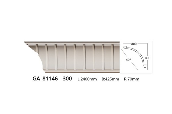 GA-81146-300